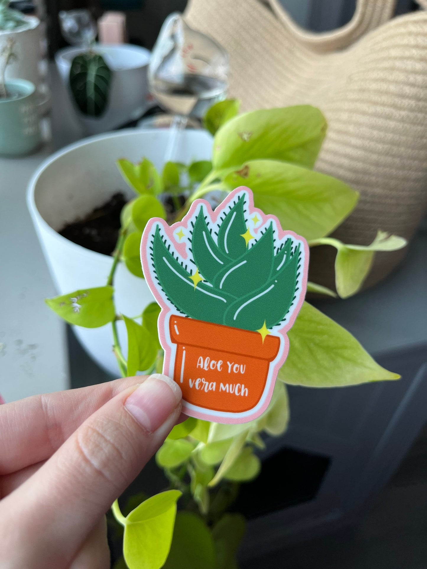 Plant Lover Sticker Aloe Vera Plant Sticker Plant Sticker Cacti Sticker Waterproof Sticker Plant Lover Sticker Gift for Plant Lover Aloe